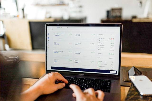 Domain Expert in Data Science