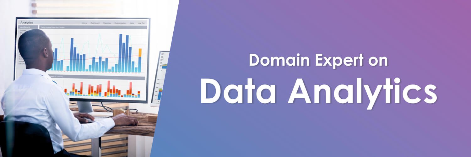 Domain Expert on Data Analytics