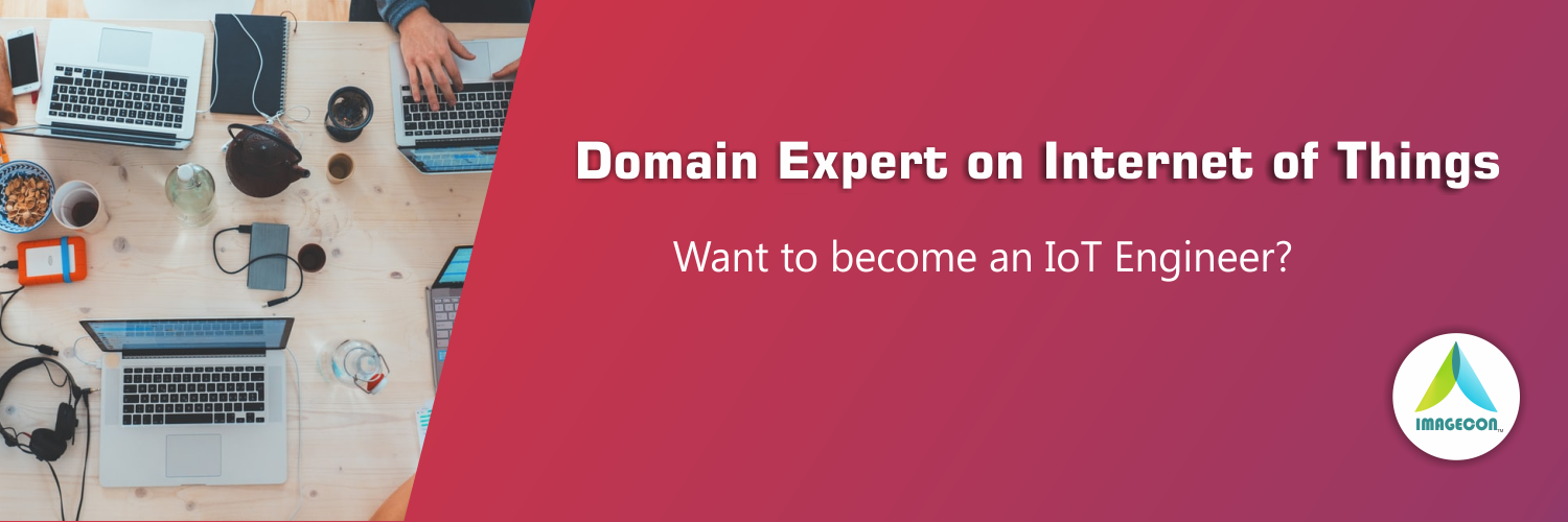 Domain Expert on IoT